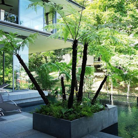 Singapore Landscape Design Custom Landscaping And Design