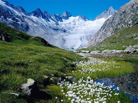 Switzerland Nature Landscape Mountains Cliff Rocks Flowers Green