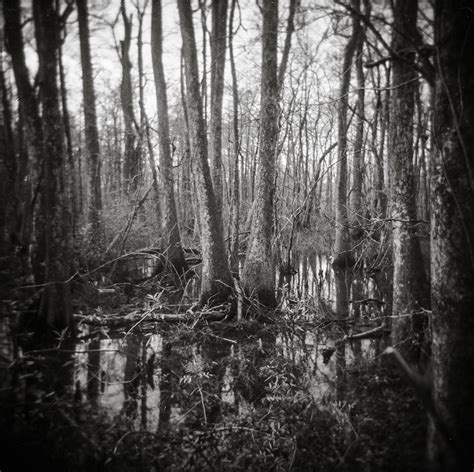 Haunted Swamp Black And White Holga Photography Holga Lost Kat