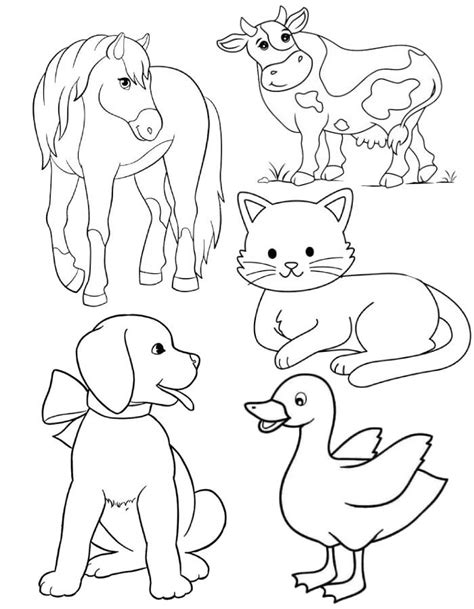 Domestic Animals Coloring Page Coloring Us