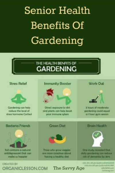 Health Benefits Of Gardening For Seniors The Savvy Age