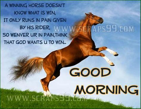 Good Morning Wishes With Horse Pictures Images Page 3