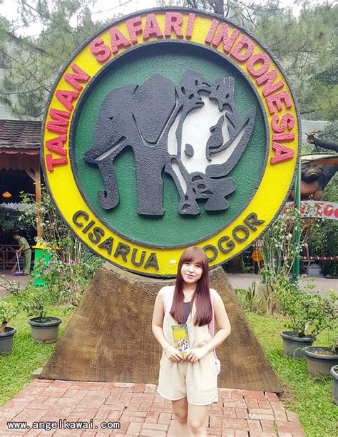 Angelkawai S Diary Nikmati Day Safari Tour Di Taman Safari Indonesia