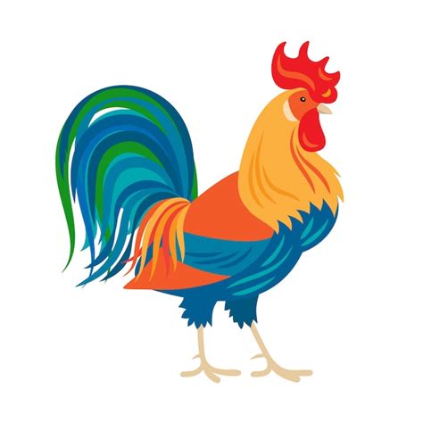 Premium Vector Rooster Vector Illustration