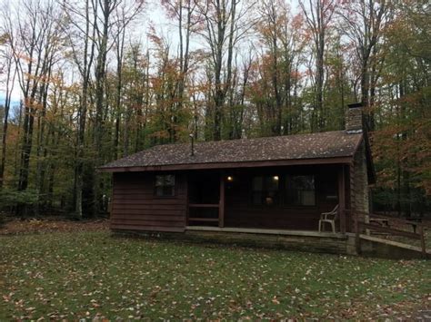 Located in historic blackwater falls state park and sitting on blackwater canyon's south rim, blackwater falls lodge provides a sweeping view of the densely forested gorge below. Enjoy The Waterfall Park And Cabins At West Virginia's ...