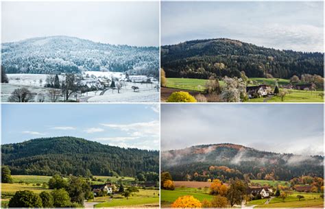 Four Seasons Of Year In European Climate In Southern Germany As Nature