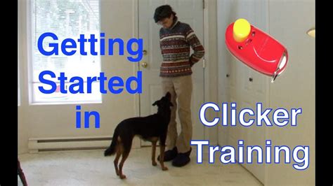 Getting Started With Clicker Training Basic Technique Tutorial For