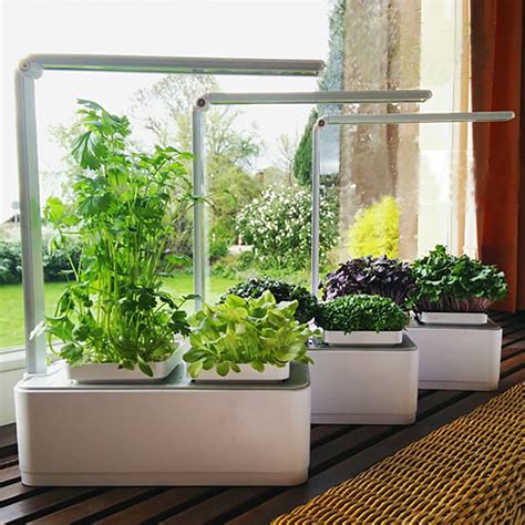 Indoor Smart Garden Kit - Herbie Home