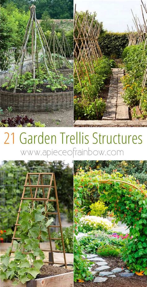 21 Easy Diy Garden Trellis Ideas And Vertical Growing Structures A