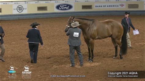 2021 Aqha Select Aged Geldings Youtube