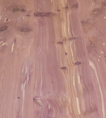 Aromatic Cedar Lumber Windsor Plywood
