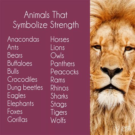 Animals That Symbolize Strength Animal Symbolism List Of Animals