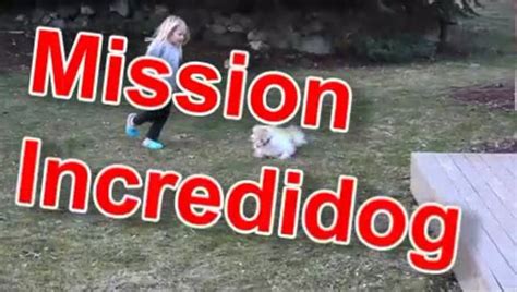Mission Impossible Dog On Vimeo