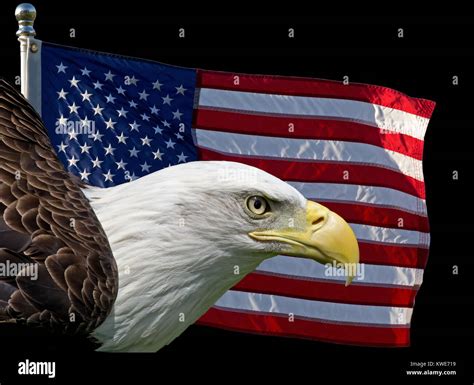 Imagen Compuesta De Dos Símbolos De Estados Unidos La Bandera Americana