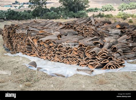 Pile Of Bark From Cork Tree Stock Photo Alamy