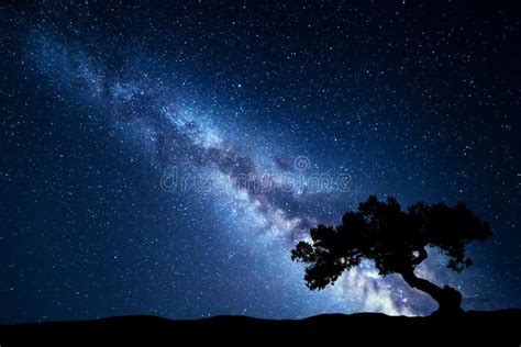 Tree Against Milky Way Night Landscape Stock Image