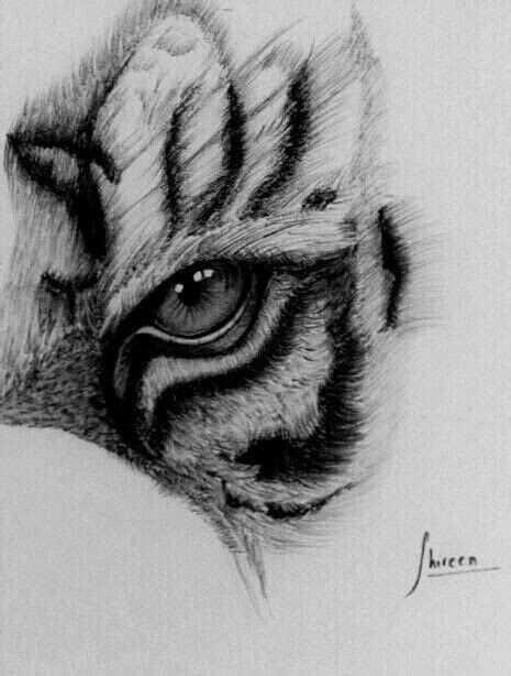 Tiger Eye Drawing By Lethalchris On Deviantart Artofit