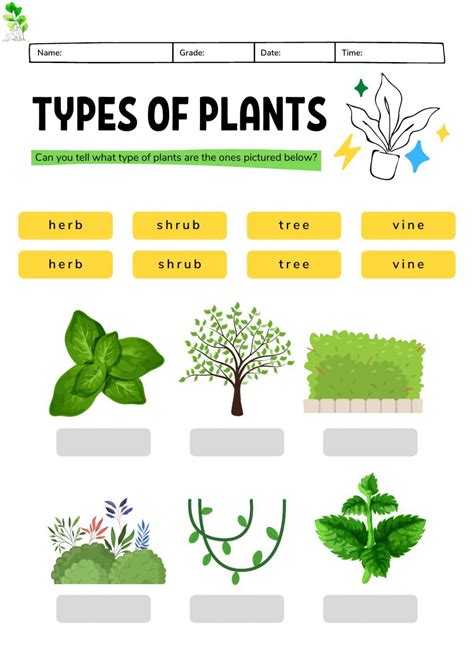 Free Types Of Flowering Plants Worksheet Worksheet For Kids Artofit