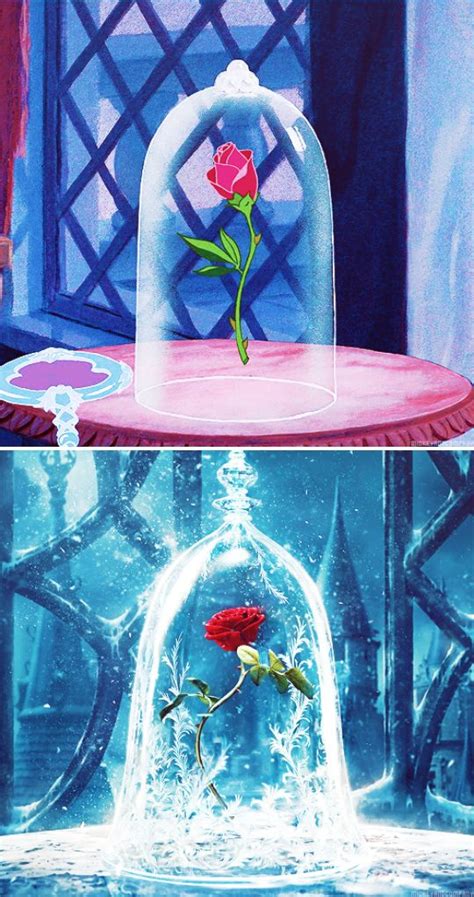 Beauty and the beast, glass, rose, best movies. The rose she had offered was truly an enchanted rose ...