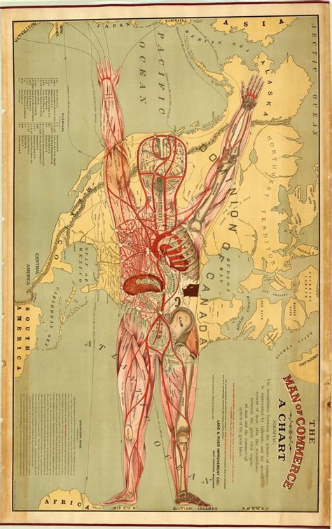 Homepage 3d modeled by physicians and anatomy experts. 25 best maps images on Pinterest | Antique maps, Old maps ...