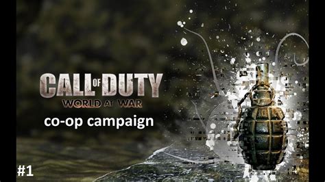 Call Of Duty 1 Pc Co Op Mod Madnesslaneta