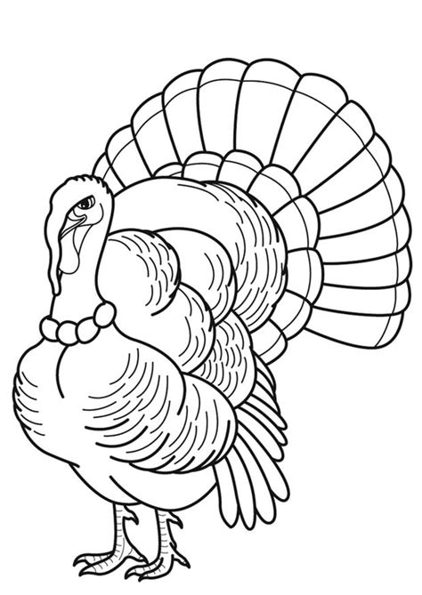 Dibujo para colorear Pavo - Dibujos Para Imprimir Gratis