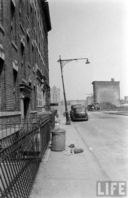 Flashback The Bronx Slums 1950s Gothamist