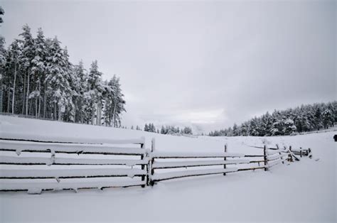 What Are The Benefits Of A Snow Fence Hercules Fence Northern Virginia