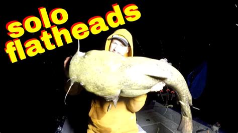 Epic Solo Catfishing Trip How To Catch Flathead Catfish Youtube