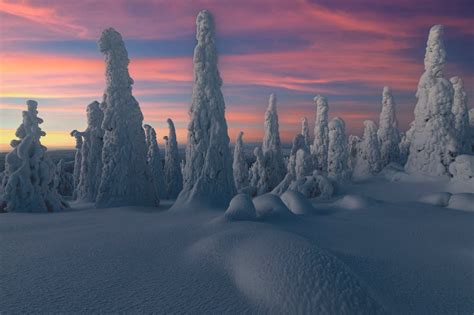 Roberto Moiola Sysaworld Sunset Over Frozen Trees Of Snowy Forest