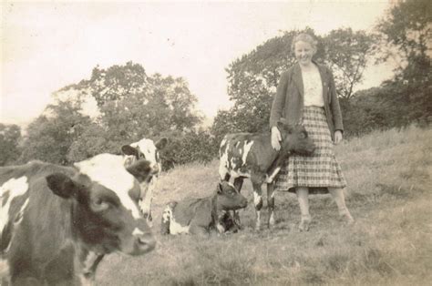 Lost In The Past A Scottish Farm In The 1950s Nostalgia