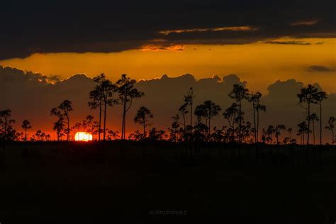 Everglades Photography Workshp And Tour