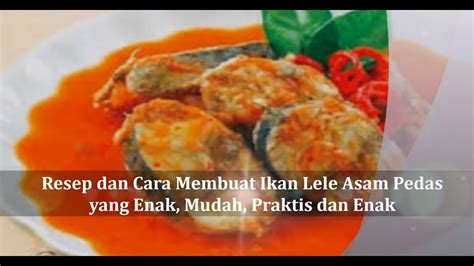 Ikan lele merupakan salah satu lauk makanan yang sangat populer di indonesia. Resep Olahan Lele Pedas / 20 Resep Masakan Ikan Lele Enak Sederhana Dan Mudah Dibuat / Hidangan ...