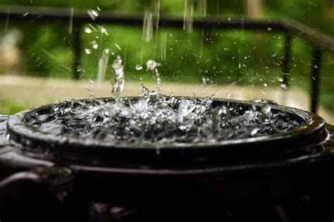 The Importance Of Harvesting Rainwater