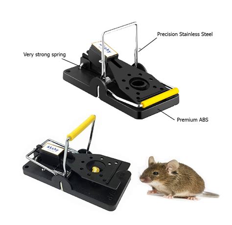 Mouse Traps That Work The Best Gdpoliz