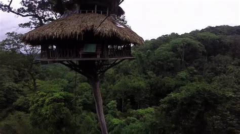 Ziplining To Highest Treehouse In The World Youtube