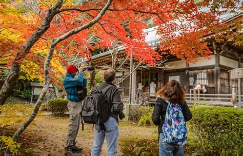Jeffrey Friedls Blog Fall Foliage Wigglegram From Kyotos Flower Temple