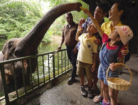5 Reasons Why Animal Lovers Must Visit Singapore Zoo Southeast Asia