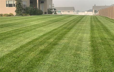Residential Lawn And Yard Care Pipos Lawn Care