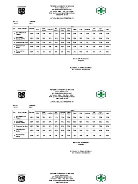 Laporan Bulanan Ppi 2019 Pdf