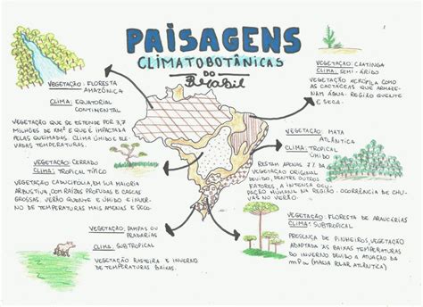 Vegetacao Brasileira Estudar Geografia Geografia Geografia Fisica