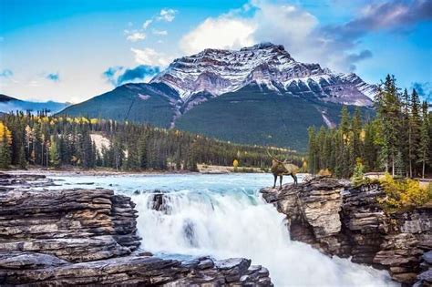 12 Enchanting Waterfalls In Canada One Must Definitely Visit