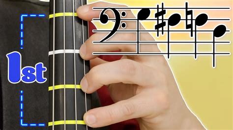 The First Position On Cello A Beginner Cello Lesson Basics Of Cello