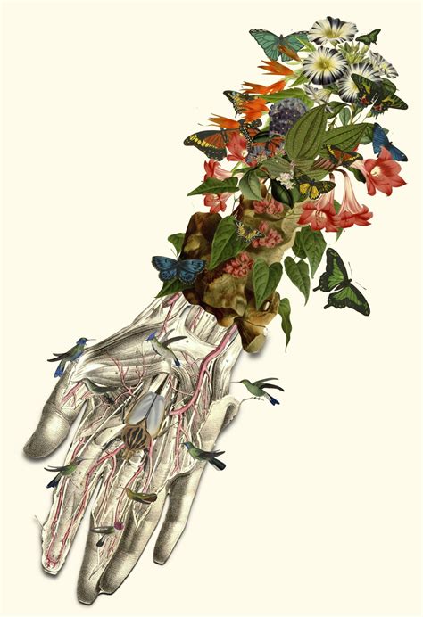 The Intricate Collages Of Bedelgeuse Human Anatomy Art Anatomy Art