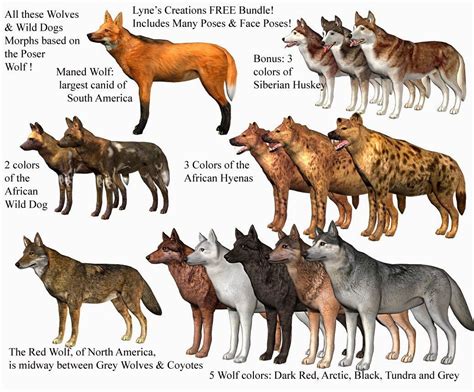Kinds Of Wolves List