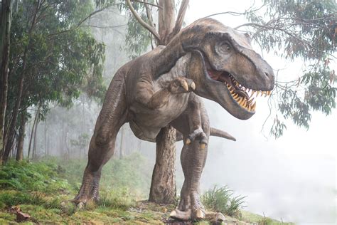 The story of the predatory indominus rex from the jurassic park franchise. Indominus Rex: Jurrasic World Playset - Offerte Giocattoli ...