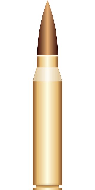 Bullet Shell Cartridge · Free Vector Graphic On Pixabay