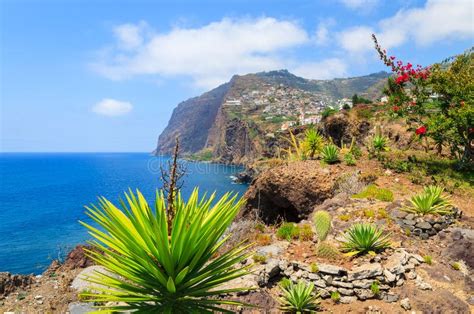 Tropical Plants On Coast Of Madeira Island In Summer Portugal Stock