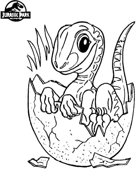 Beb Dinosaurio En El Mundo Jur Sico Para Colorear Imprimir E Dibujar Coloringonly