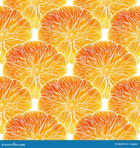 Seamless Pattern With Orange Stock Vector Illustration Of Drawing